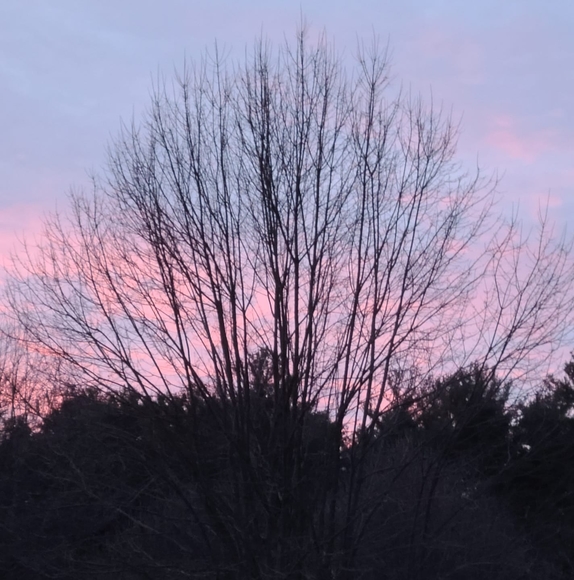 Profile Picture of Lisa Mazzuchelli (@lmazzy122303) on Poshmark