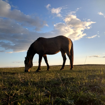 Profile Picture of Jessica Turbiville (@jessturb) on Twitter