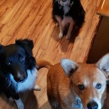 Profile Picture of Carrie Spencer (@MaxPaxCarrie75) on Twitter