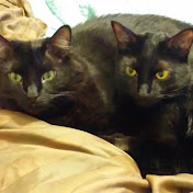 Profile Picture of Denise Galey (@torbasgirl1) on Youtube