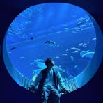 Profile Picture of Edward Chow (@edward.chow.834058) on Facebook