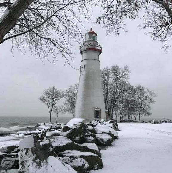 Profile Picture of Staci Cotrell (@cotrell14) on Poshmark