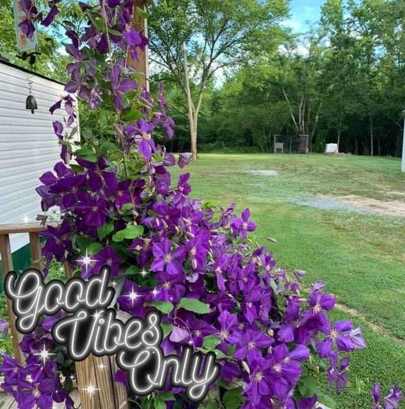 Profile Picture of Shirley Mcelroy (@shirleywhite416) on Poshmark