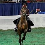 Profile Picture of Danielle Dubay De Navarro (@danielledenavarro) on Instagram