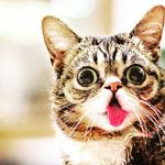 Profile Picture of devonte_football/JCMS🏈🏈 (@scwanchy) on Instagram