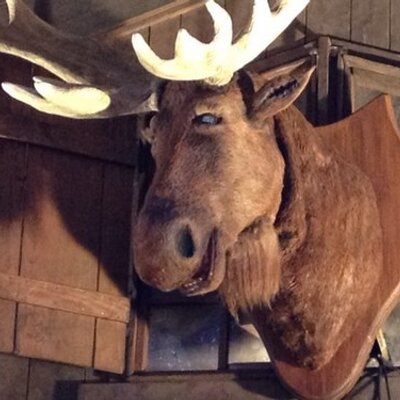 Profile Picture of Fleety3 (@BryanFleet) on Twitter