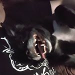 Profile Picture of Greg MacLeod (@gregs_tagram) on Instagram