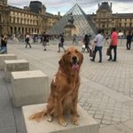 Profile Picture of Pippa Charlotte Sharpe (@pippathegolden12) on Instagram