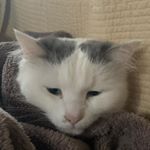 Profile Picture of Tommy Swanson (@swanson.tommy) on Instagram