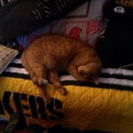 Profile Picture of John Hollenberger (@johnhollenberger) on Instagram