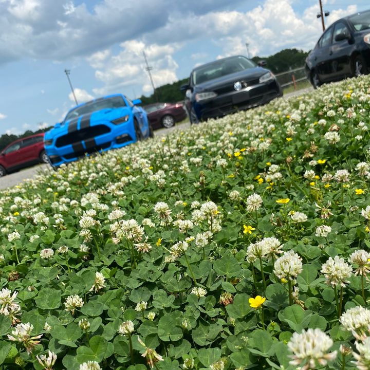 Profile Picture of Joseph (@wilmar45_2004) on Tiktok