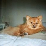 Profile Picture of Cindy Rosales (@cindy.rosales.182) on Instagram