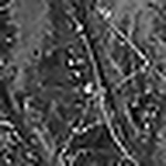 Profile Picture of brandon vaughn (@brandon376) on Flickr