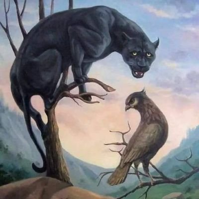 Profile Picture of Dominic Asante (@Dominic25519055) on Twitter