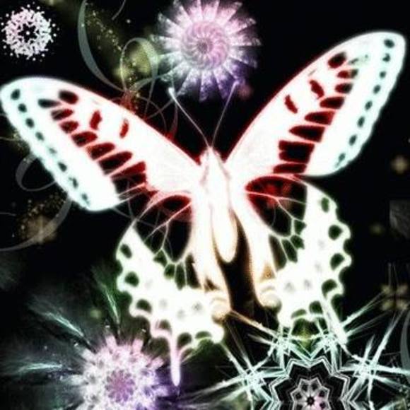 Profile Picture of Renee Nipp (@reneenipp) on Poshmark