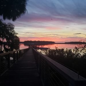 Profile Picture of Dawn Maddox (@DawnMaddox14) on Twitter