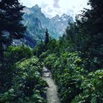 Profile Picture of Danny Covell (@natureadventures_dc) on Instagram