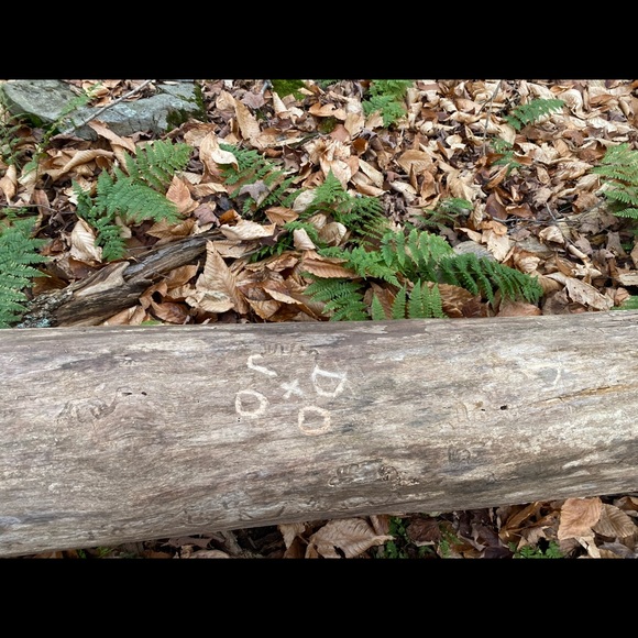 Profile Picture of Julie Opferman (@julieopferman) on Poshmark