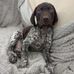 Profile Picture of Stephen Connell (@stephen.connell.395) on Facebook