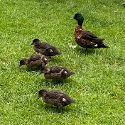 Profile Picture of Olivia Marsh (@oliviamarsh9932) on Youtube