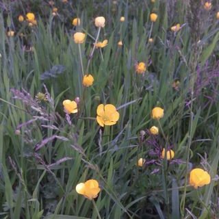 Profile Picture of Michael Alexander (@Michaelsbooks) on Twitter