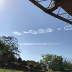 Profile Picture of Lorena Ceballos (@loreceballos34) on Instagram