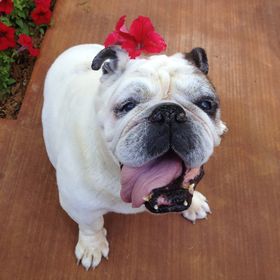 Profile Picture of Erica Beresford (@eberesford13) on Pinterest