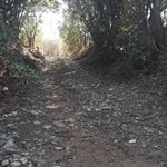 Profile Picture of Richard Jerez (@richard.jerez.965) on Instagram