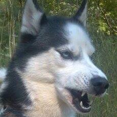 Profile Picture of Christopher Piper (@christopher.piper.315) on Facebook