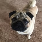 Hudson Thompson - Facebook Profile Picture of Hudson Thompson (@Hudson-Thompson) on Facebook