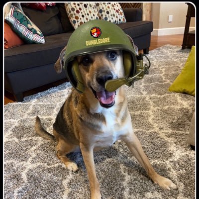 Profile Picture of Dumbledore (@DumbleBumble3) on Twitter