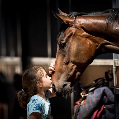 Profile Picture of Amy Lanigan Photos (@amylanigan1) on Twitter