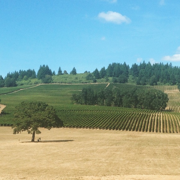 Profile Picture of Vanessa Drewlo (@vdrewlo) on Poshmark