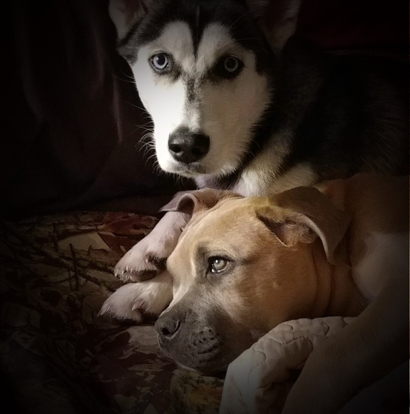 Profile Picture of Deeana Smeaton (@deeanasmeaton) on Poshmark