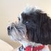 Profile Picture of Luke Sturman (@lsturman0074) on Pinterest
