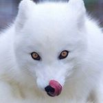 Profile Picture of Fran Holder (@bleweyes1024) on Instagram