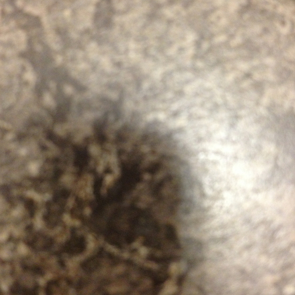 Profile Picture of Andrea Bereck (@abab6699) on Poshmark