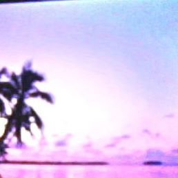 Rano Davlyatova - Facebook Profile Picture of Rano Davlyatova (@rano.davlyatova) on Facebook