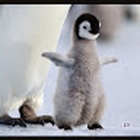 Profile Picture of Nicholas Nye (@nicholas-nye-4) on Quora