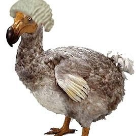 Profile Picture of Bird Lawyer (@Real_JoeNathan) on Twitter