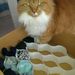 Profile Picture of Pamela Hilton (@hilton5218) on Pinterest