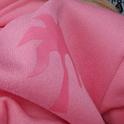 Profile Picture of Paisley Devries  (@lindadevries5918) on Youtube