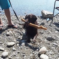 Profile Picture of Blair Tanner (@blair-tanner-3) on Quora