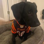 Profile Picture of David Homan (@davehoman) on Instagram