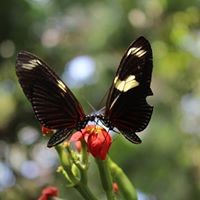 Jody Walton - Quora Profile Picture of Jody Walton (@jody-walton-1) on Quora