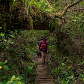 Profile Picture of Lisa Tyerman (@lmt913) on Pinterest