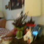 Profile Picture of Violet Simpson (@violetsimpson) on Instagram