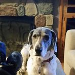 Profile Picture of John Sagert (@john.sagert) on Facebook