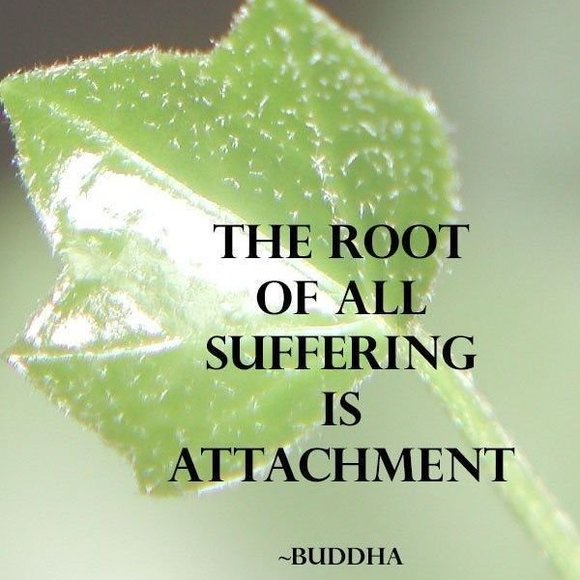 Profile Picture of Renee Marecek (@renee_marecek) on Poshmark