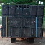 Profile Picture of Anilgoud Panjala (@anilgoud.panjala.92) on Facebook